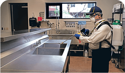 How you can implement a system of pest control measures