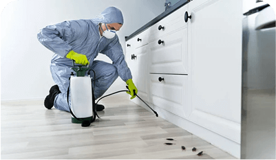 Safety considerations for cockroaches control